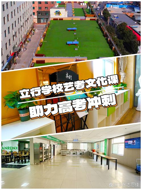 艺考的文化课都有那些