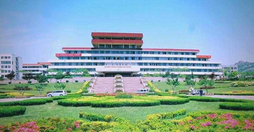 青岛高考美术提升学校