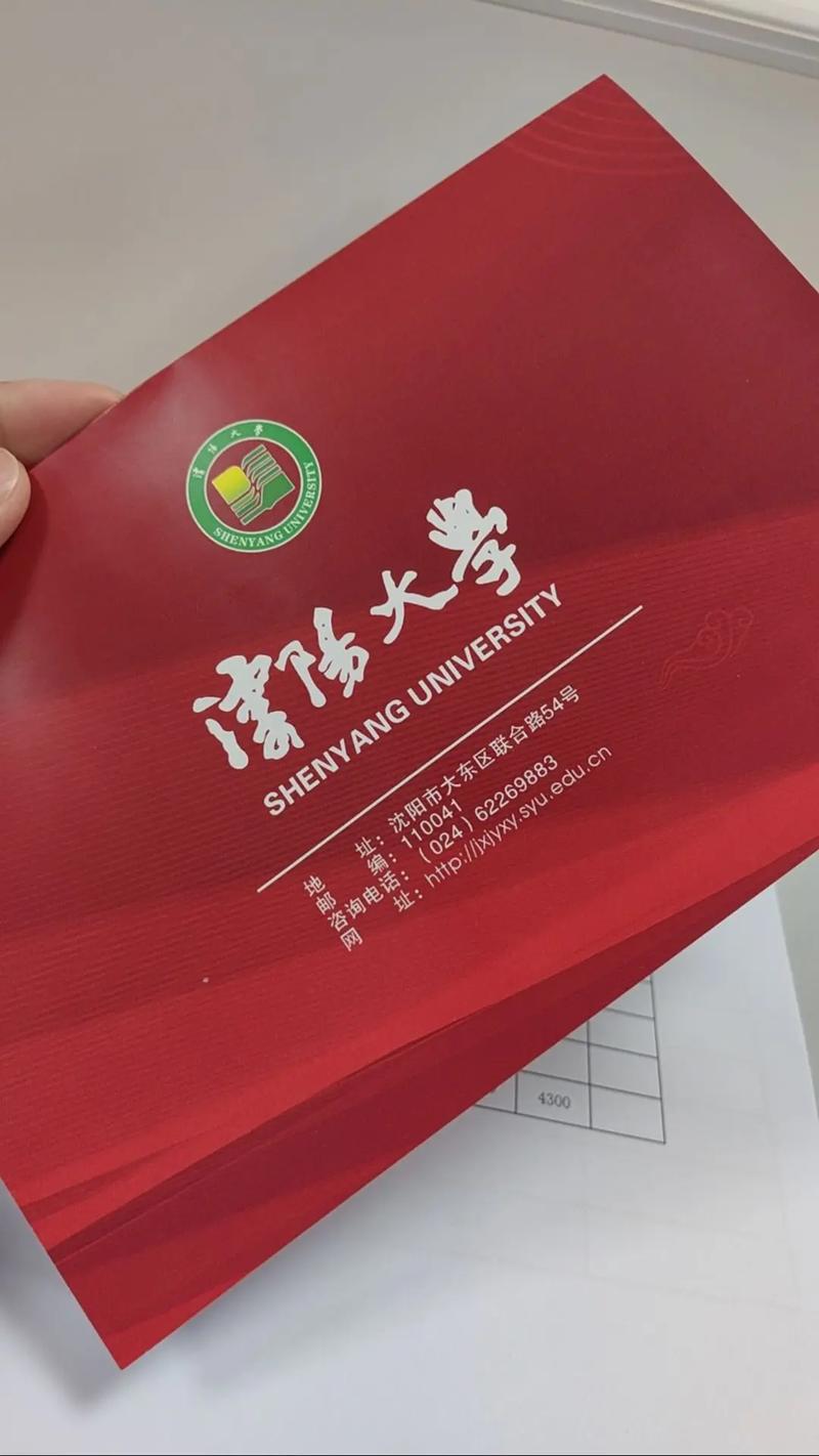 沈阳大学文科美术录取