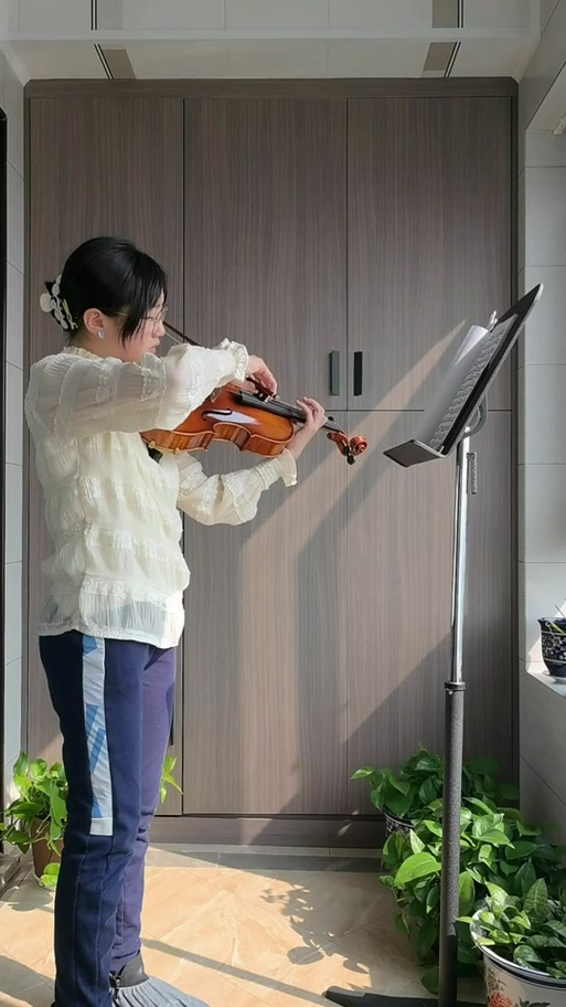 艺考音乐系小提琴难吗