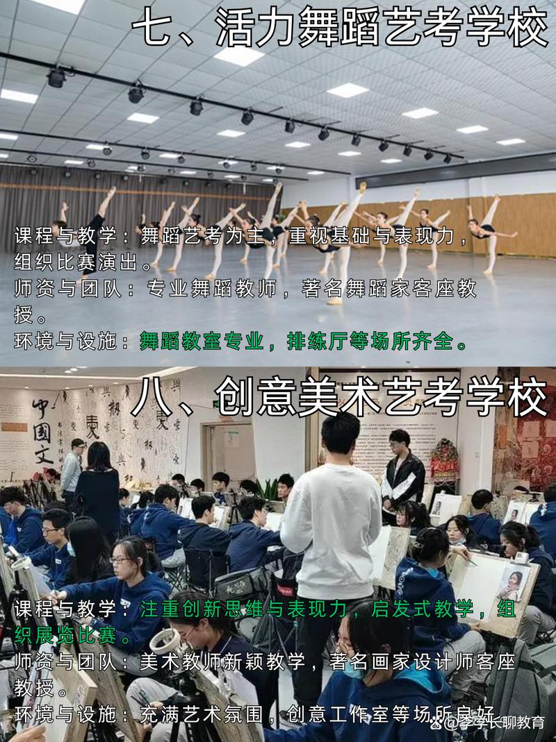 四川舞蹈艺考培训机构