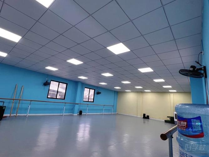 四川舞蹈艺考培训机构