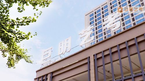 重庆巨明美术集训学校