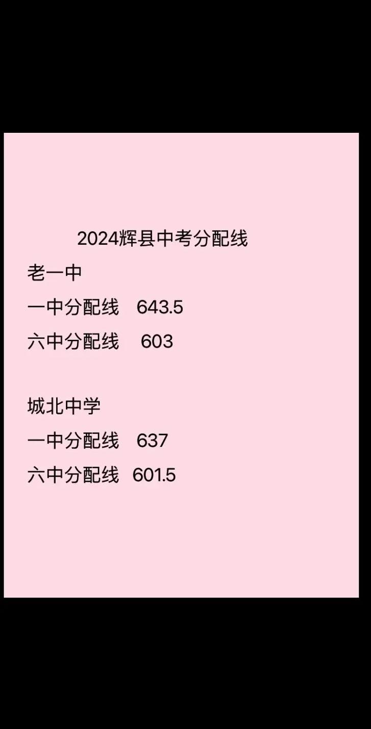 辉县六中音乐生分数线