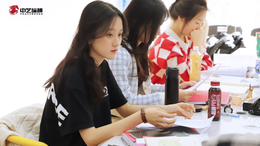 中传校内有艺考培训吗