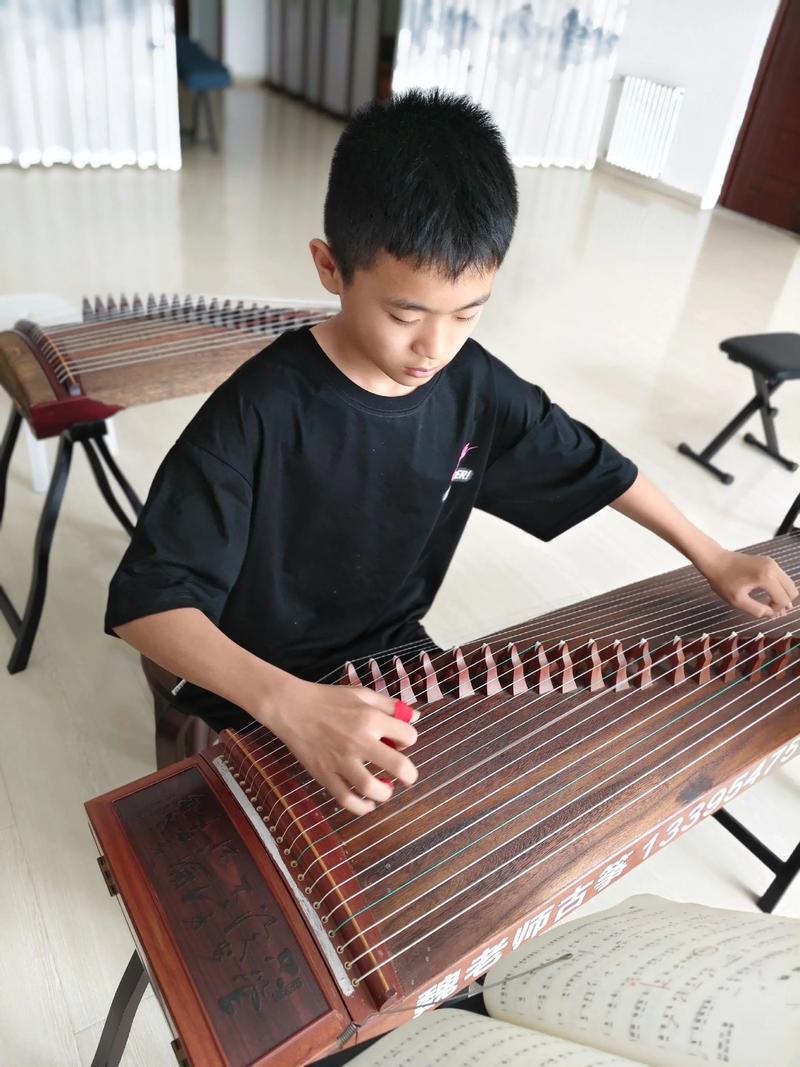 莆莆田市学音乐小孩子