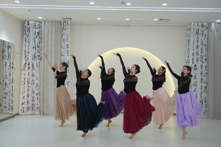 临沂成人舞蹈速成视频