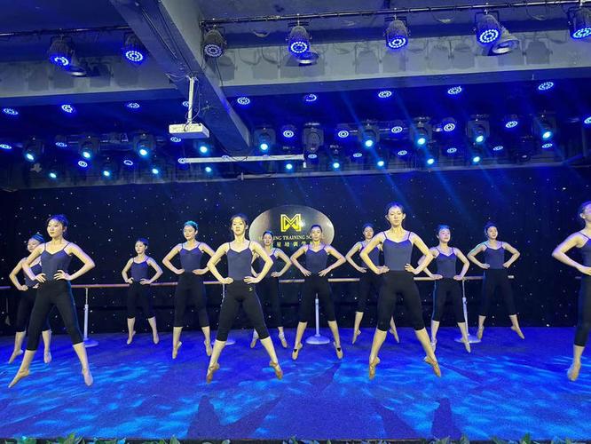 上海明星学校舞蹈视频