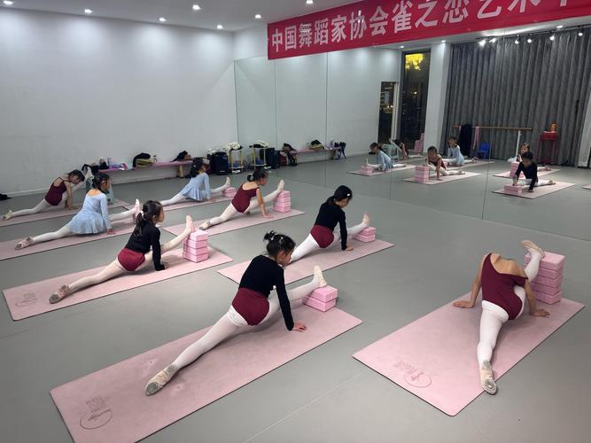 宜昌舞蹈培训学校儿童