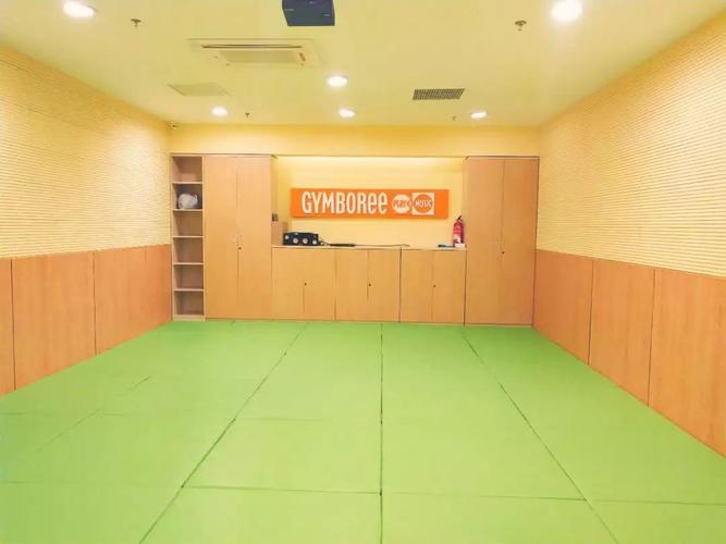 金宝贝音乐课都学什么