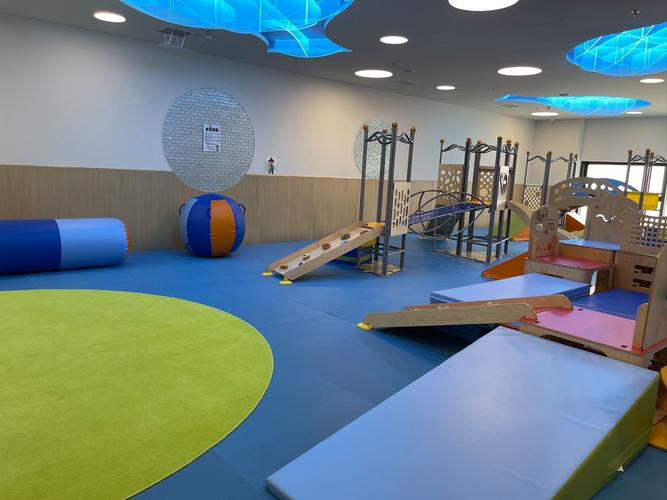 金宝贝音乐课都学什么