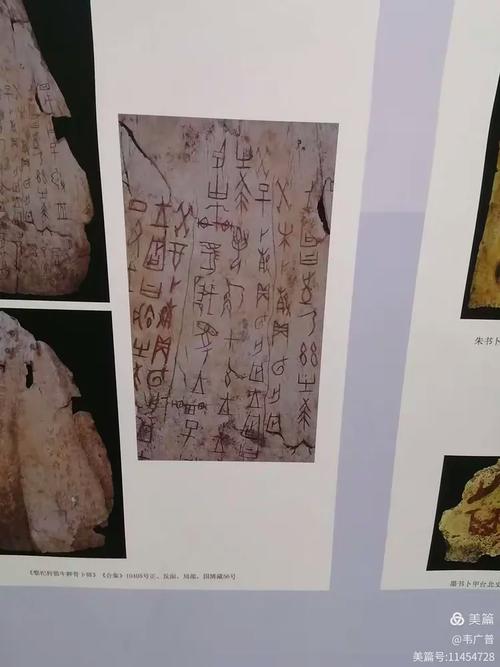 安阳美术学院地址邮编