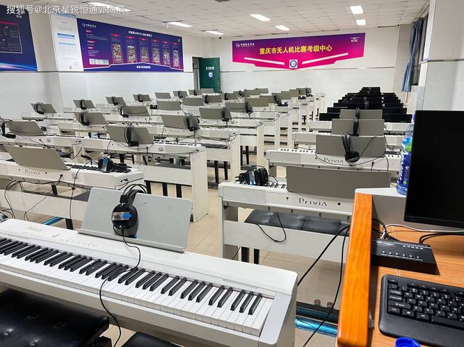 大连音乐配器网上学校