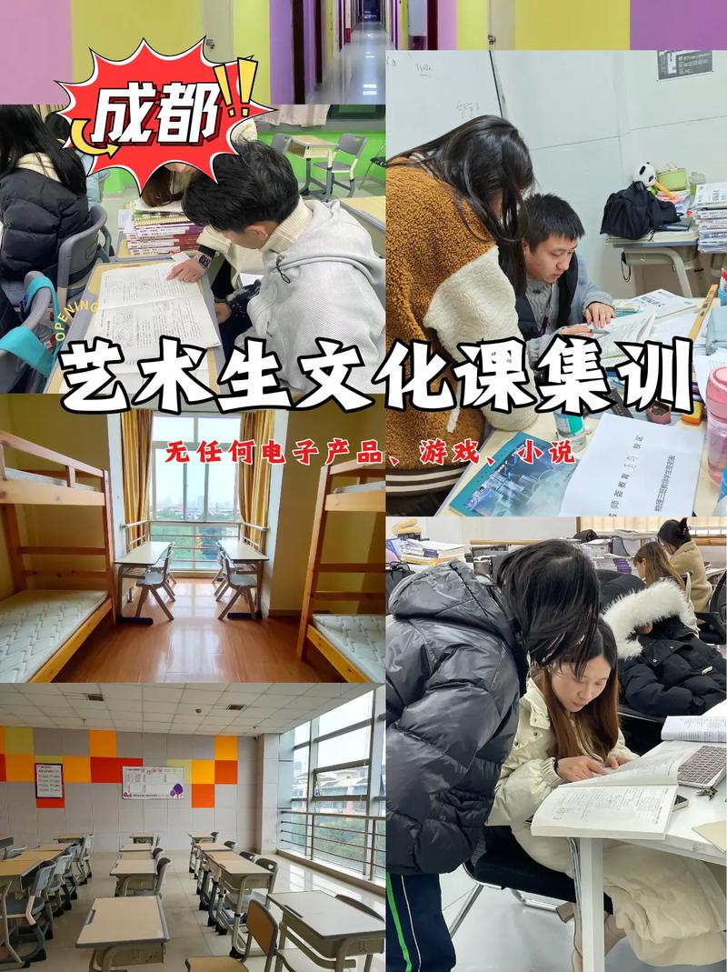 四川音乐艺考培训调查