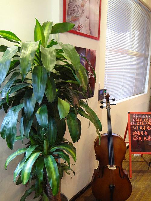 哼格尔音乐工作室价格