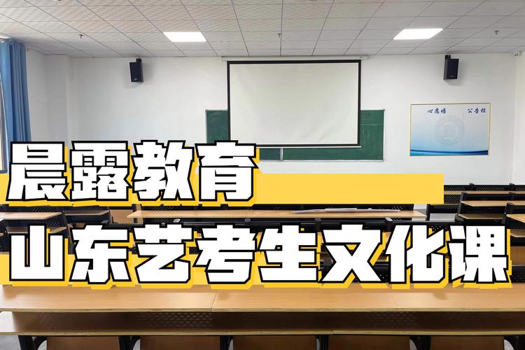 沈阳艺考文化课 优特