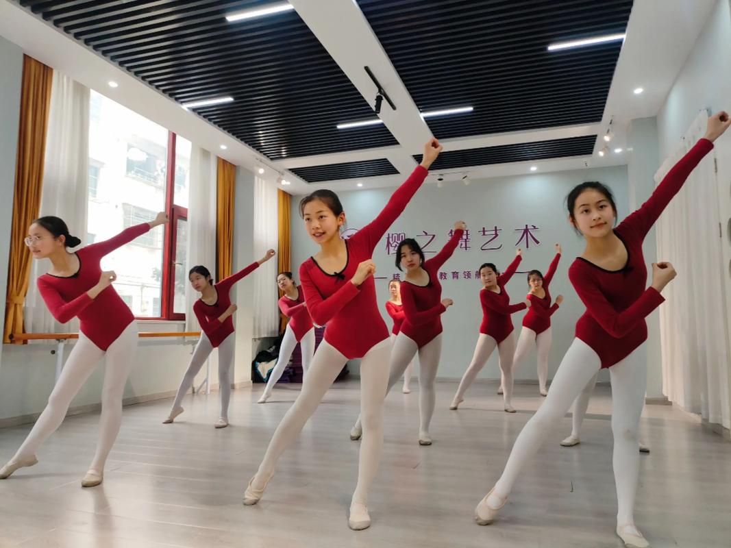 湖南对口升学专业舞蹈