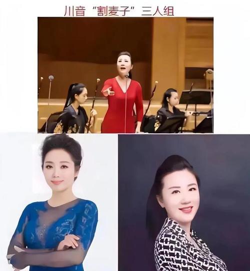 四川音乐学院副院长冯