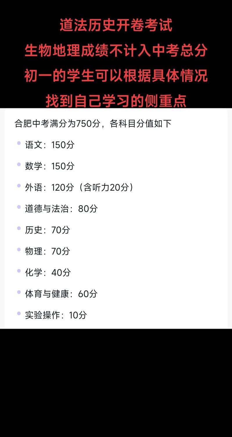 合肥二中艺考怎么查分