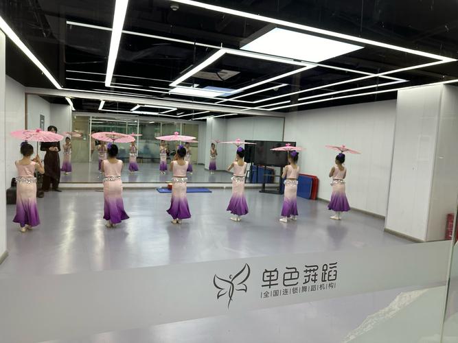 单色舞蹈培训学校简介
