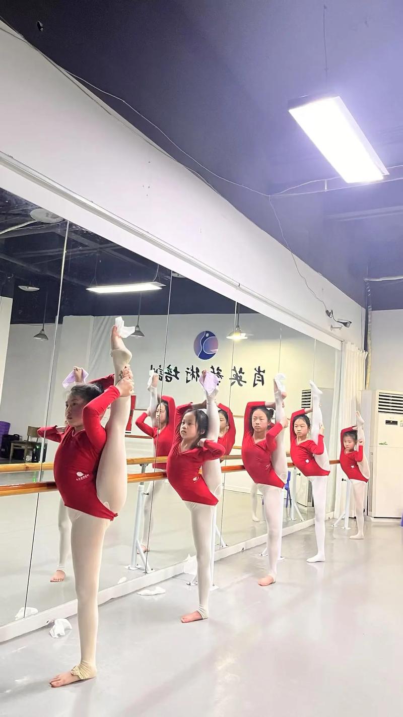 沈阳皇姑少儿舞蹈培训