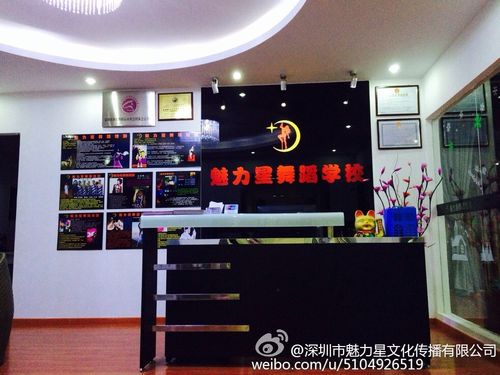 深圳舞蹈学校口碑排名