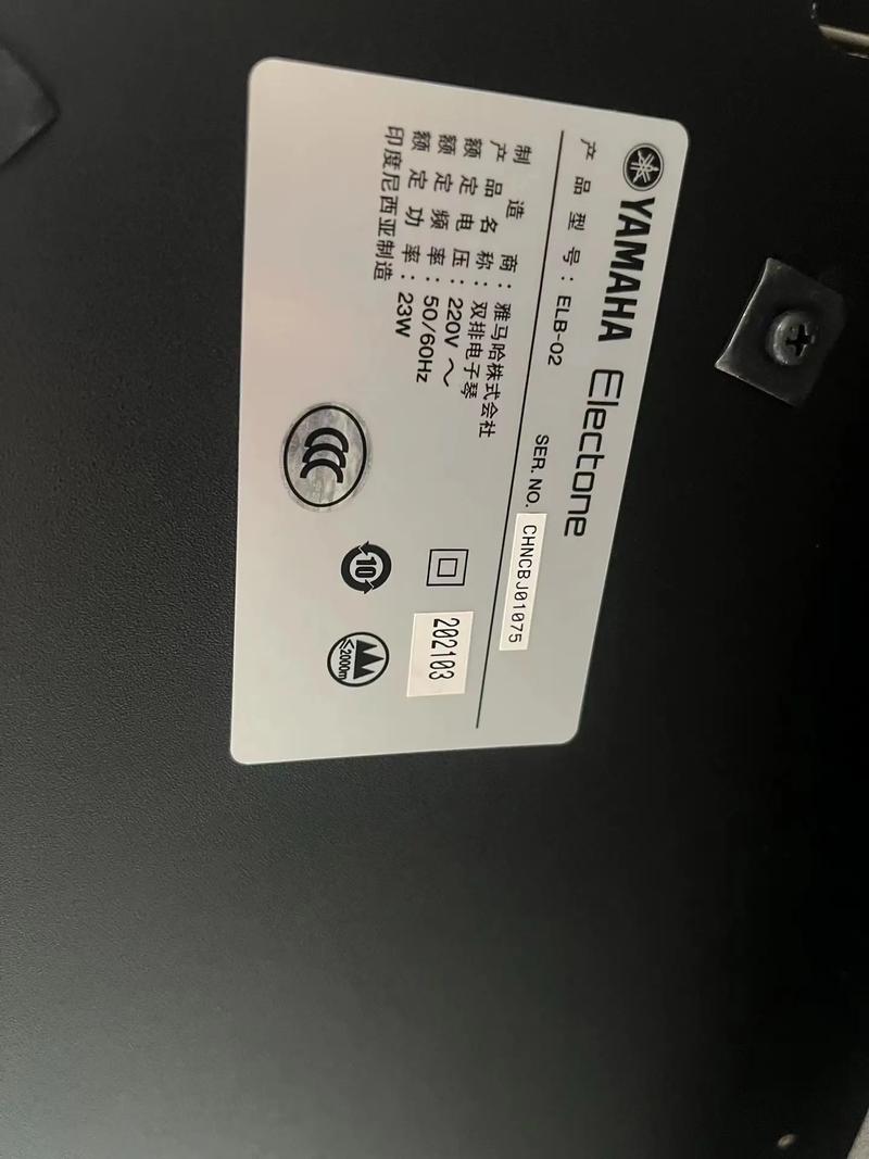 长春双排键可以艺考吗