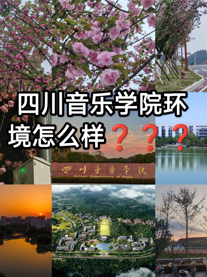 四川音乐学院网报系统