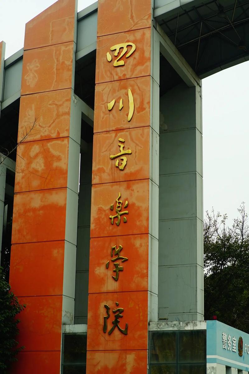四川有音乐学院的大学