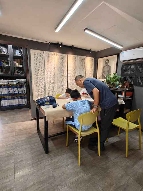 六安书法艺考培训学校