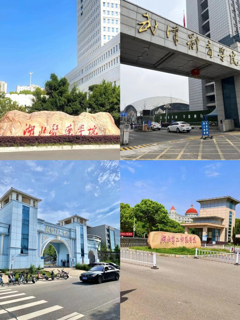 湖北第二师范音乐专业