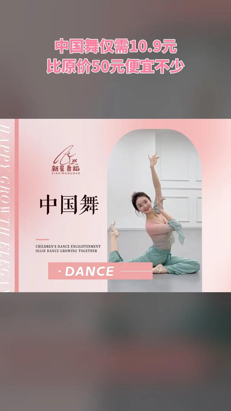 新星舞蹈培训学校简介