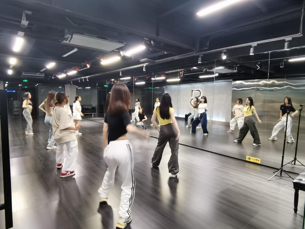 舞蹈的教学环境 图片