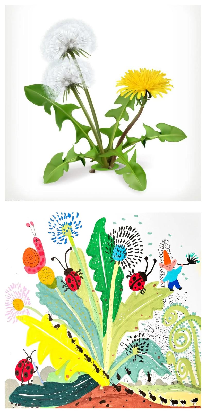 创意美术的基础是什么