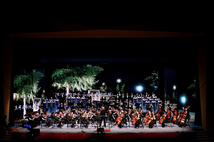 四川有音乐表演的大学