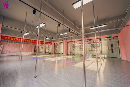 南充环形舞蹈培训机构