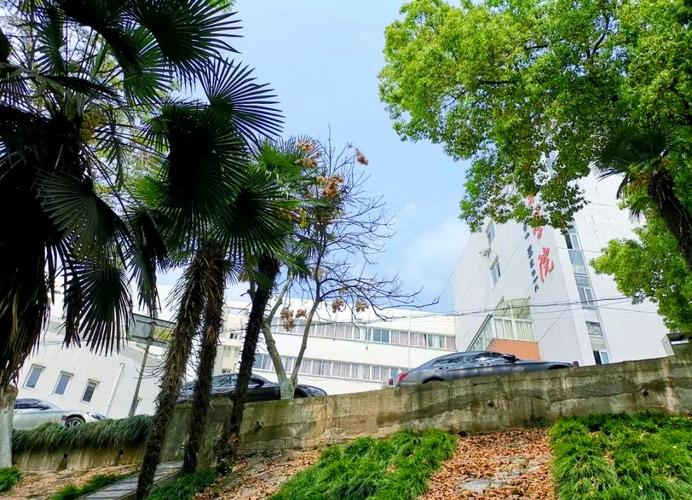 安徽音乐学院校园生活