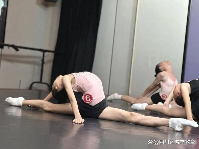 高中艺体生舞蹈好考么