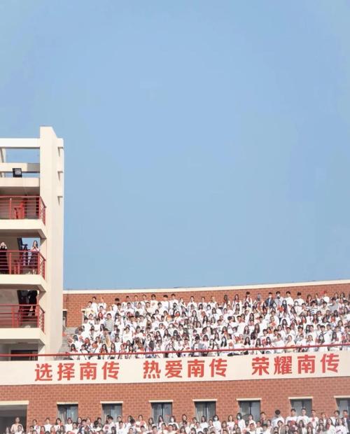 不需要艺考的电影专业