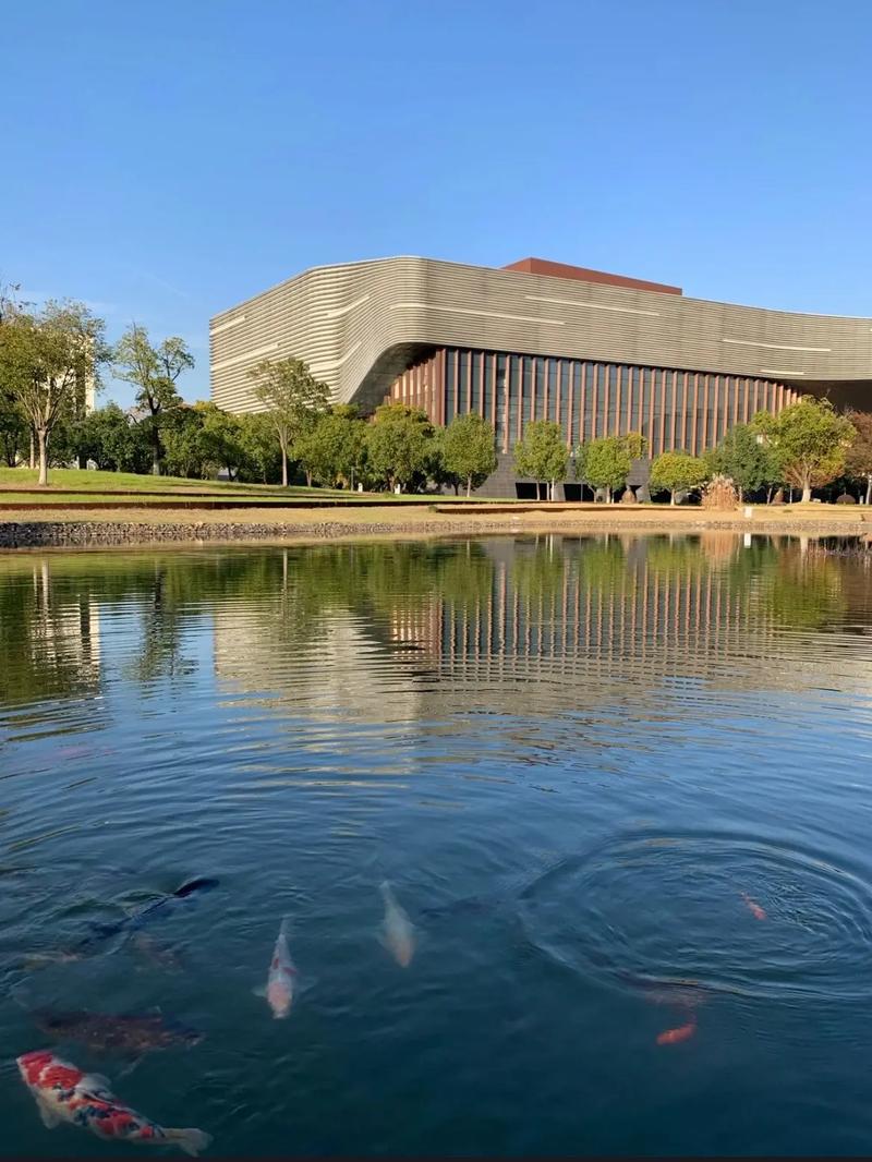 浙江自考音乐教育学院