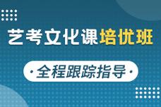 专门艺考班文化课培优