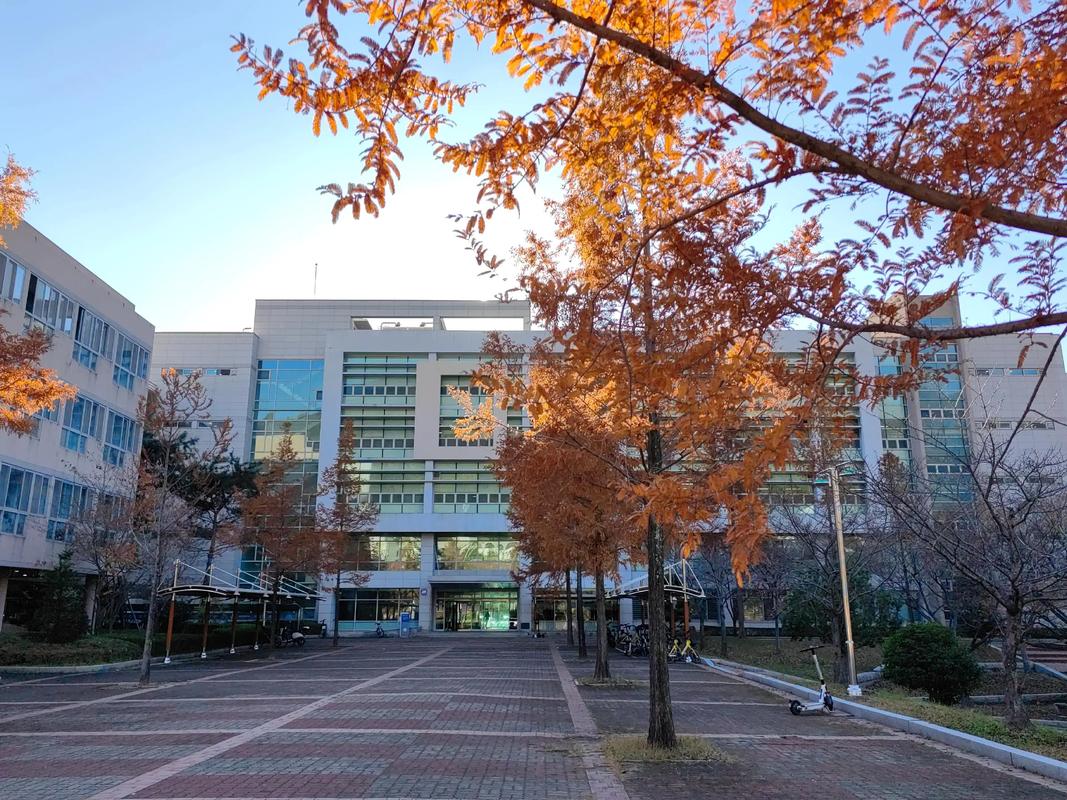 音乐教育研究生的学校