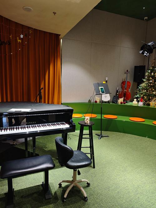 深圳红枫叶音乐工作室