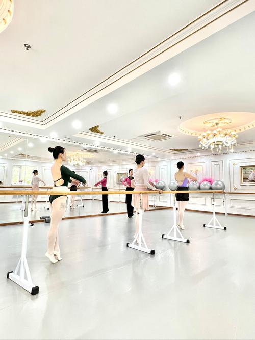 教师培训舞蹈教学视频