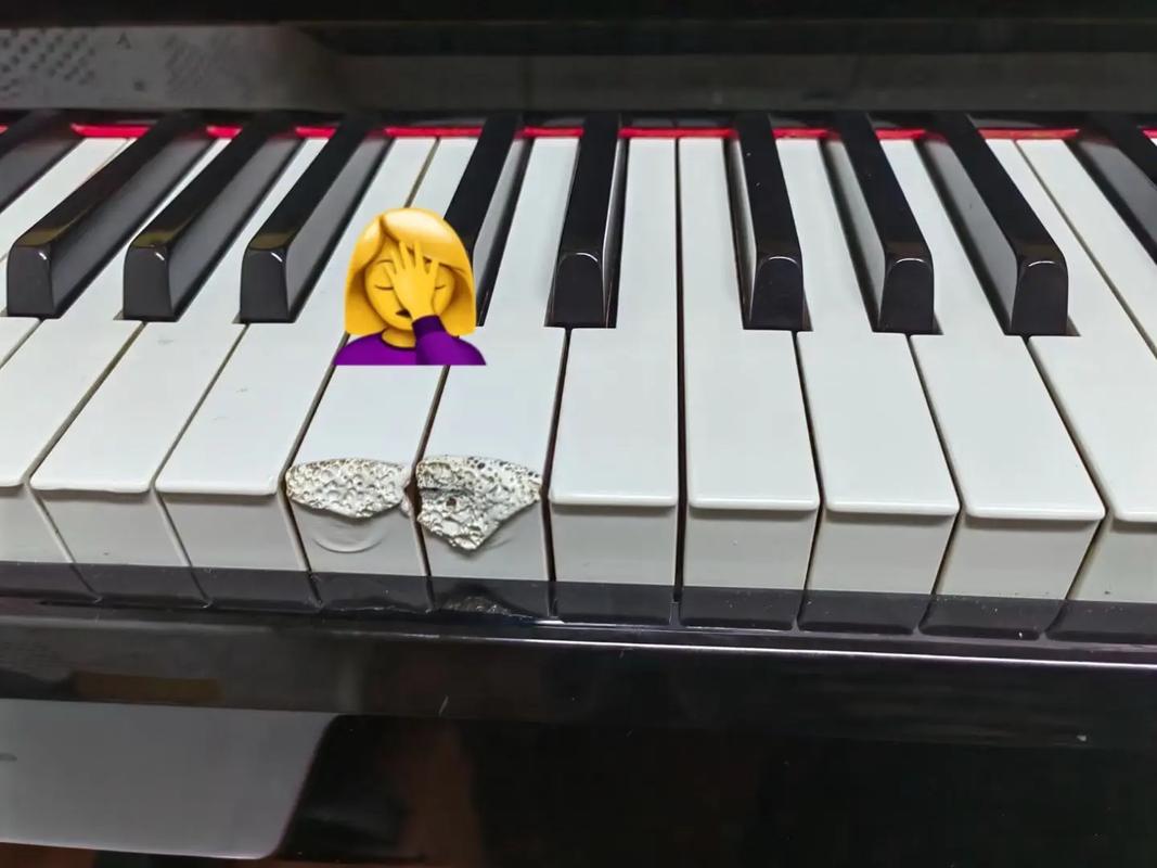 四川成人社会音乐学校