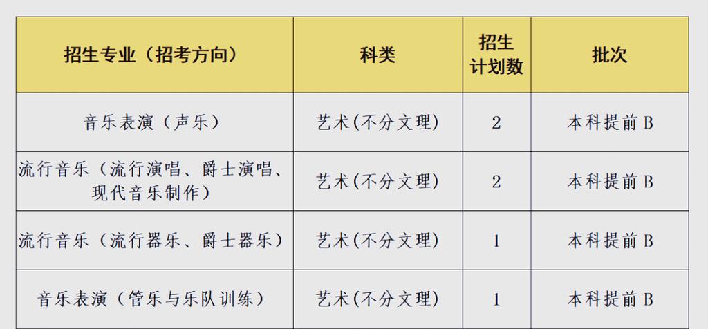 四川音乐学院表演招生