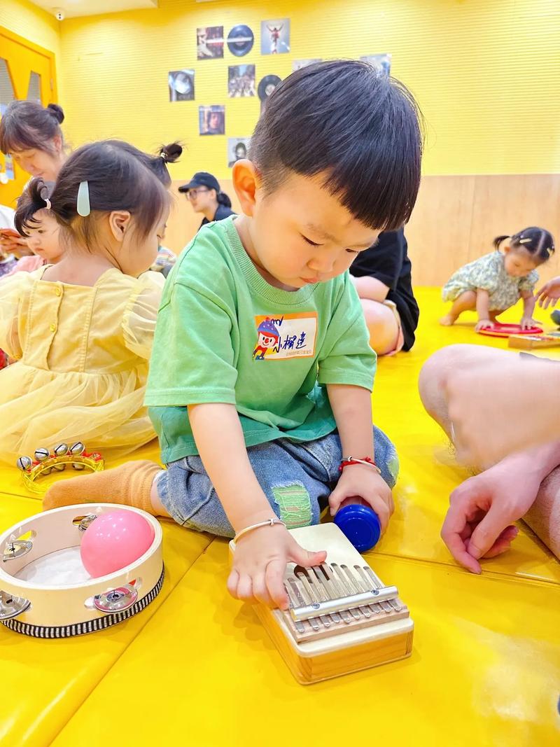 金宝贝音乐2学阶发展