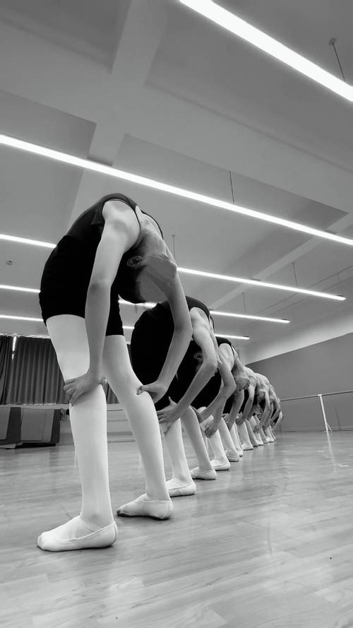 艺考如何进行才艺展示