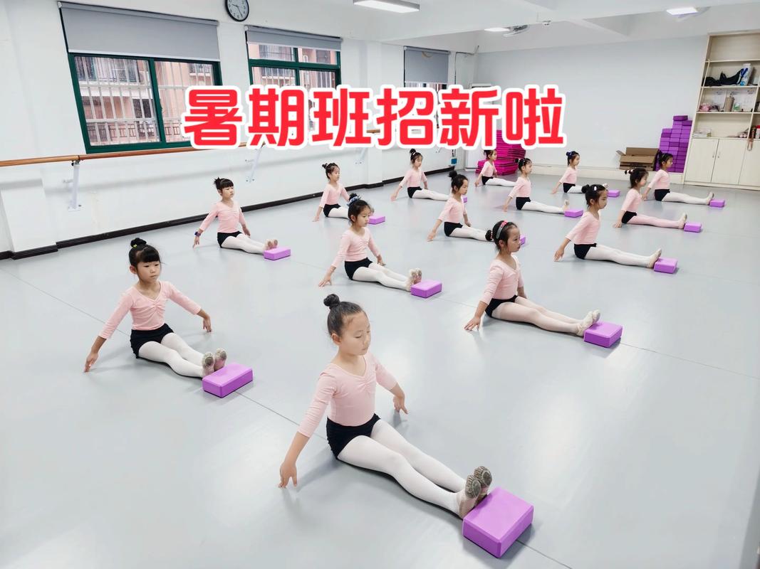 网络形体舞蹈教学视频