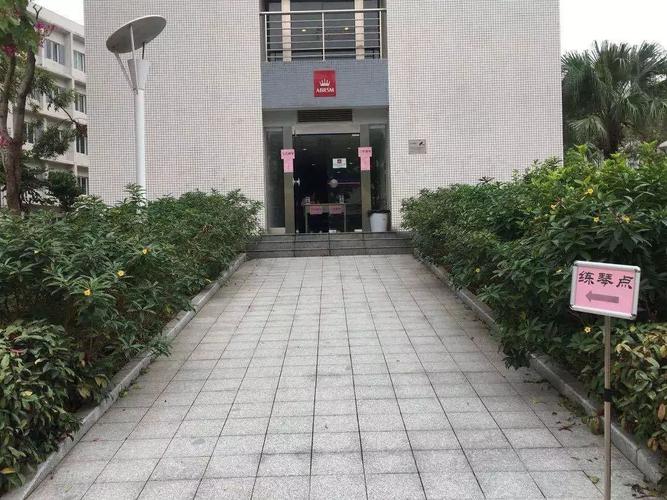 湛江音乐学院有单考吗